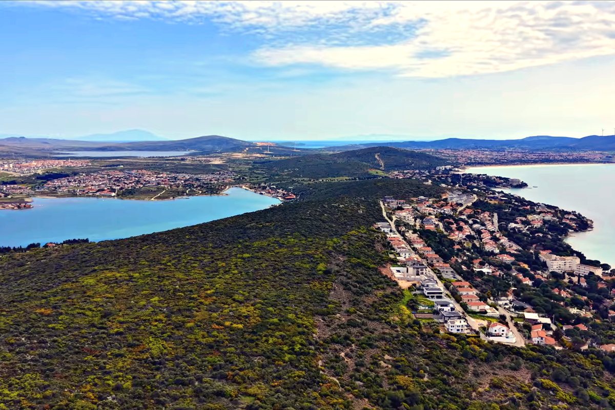 Ardıç çevresinde villa ve havuz dokusu